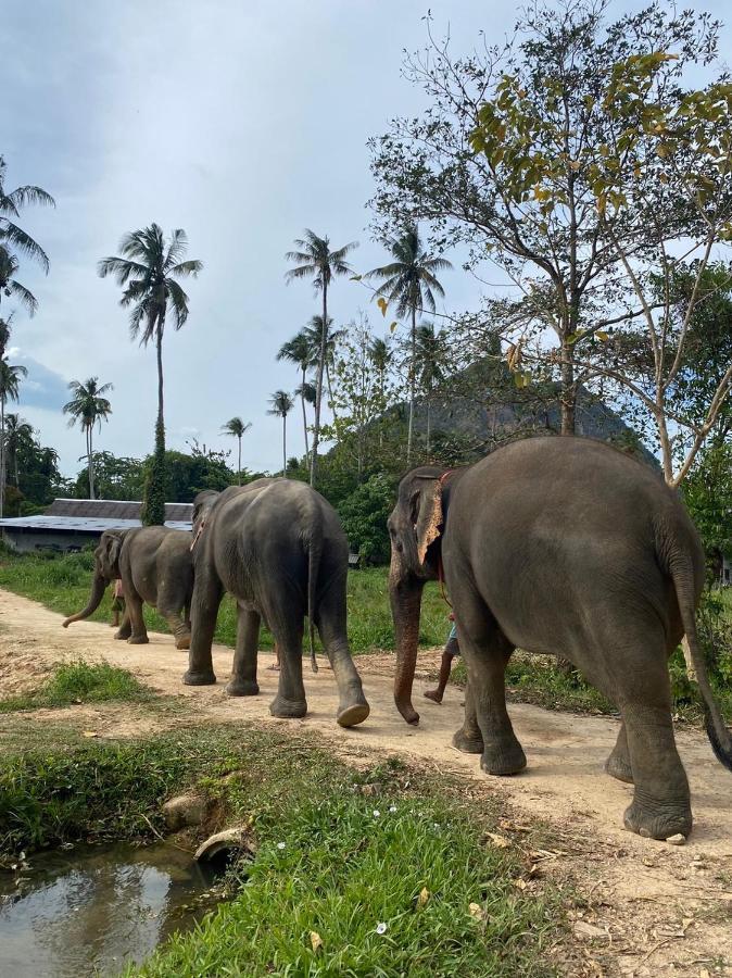 Amadha Villas Retreat - Free Tuk-Tuk Service To The Beach Ao Nang Exterior photo